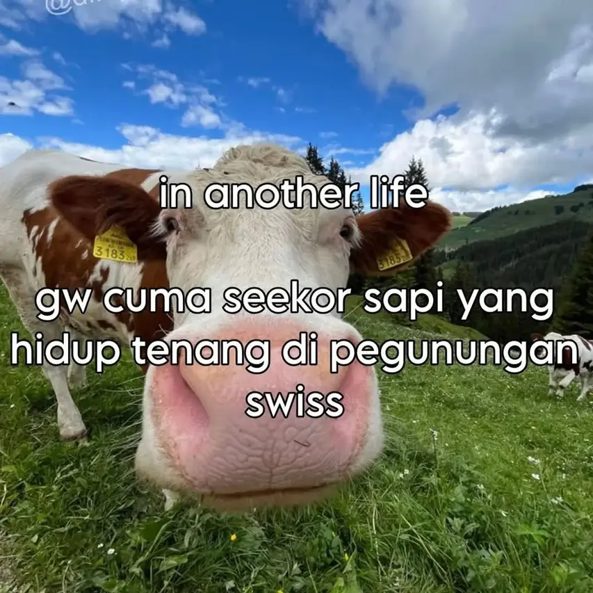 Uploaded Image